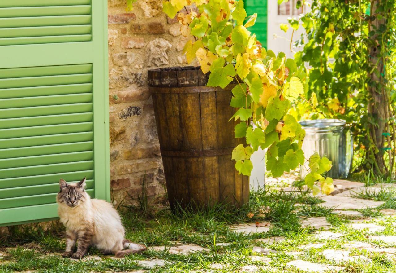 Il Colle Sulla Flaminia Vila Massa Martana Exterior foto